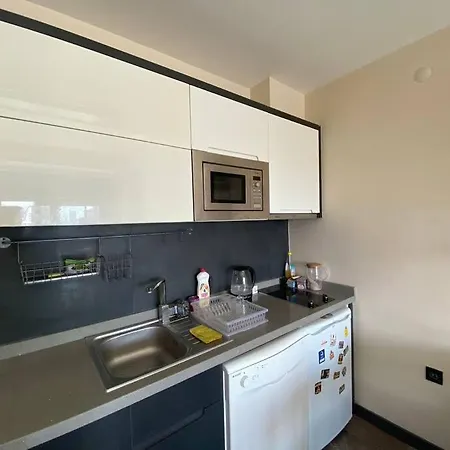 Lux Rezidans Apartment Bornova